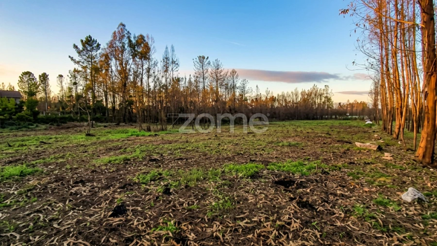 Terreno para Venda em Águas Boas e Forles
