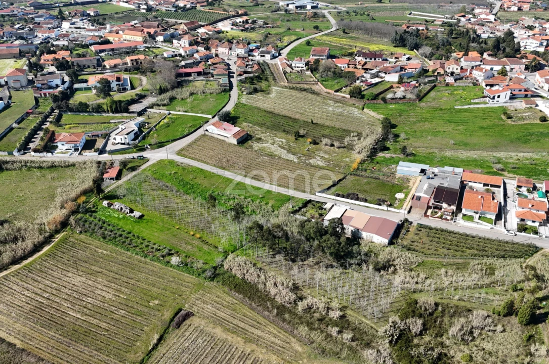 Terreno para Venda em Amoreira da Gândara, Paredes do Bairro e Ancas Foto 5