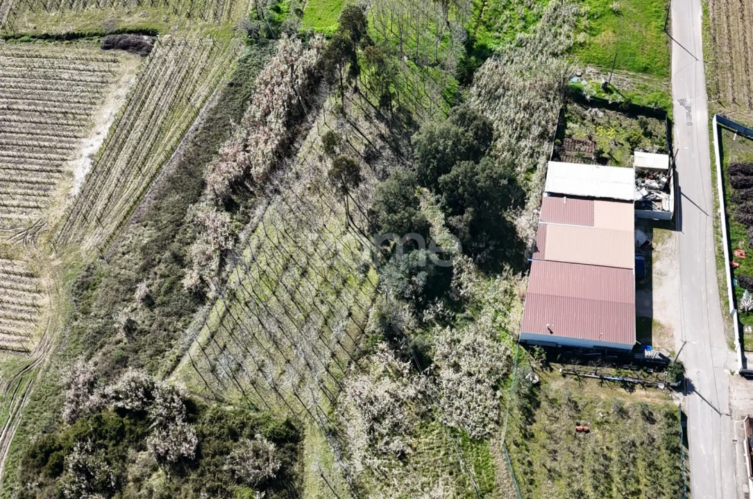 Terreno para Venda em Amoreira da Gândara, Paredes do Bairro e Ancas Foto 18