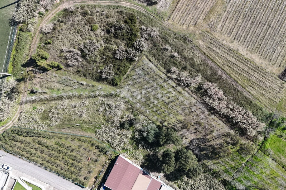 Terreno para Venda em Amoreira da Gândara, Paredes do Bairro e Ancas Foto 9