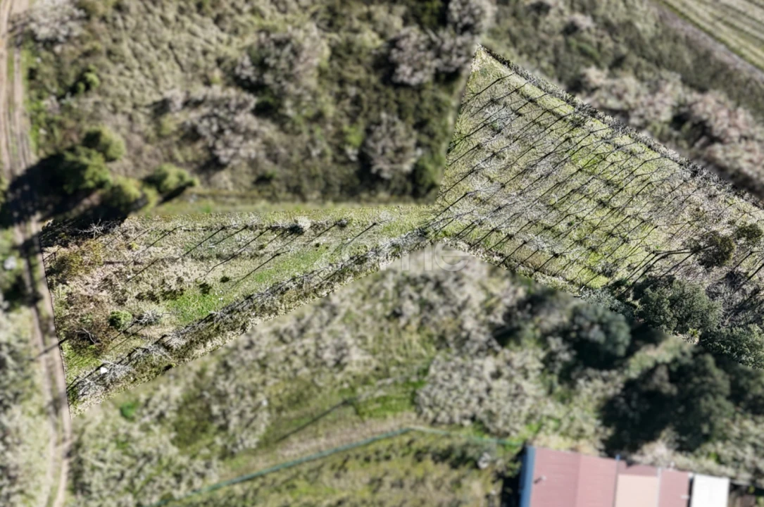 Terreno para Venda em Amoreira da Gândara, Paredes do Bairro e Ancas Foto 16