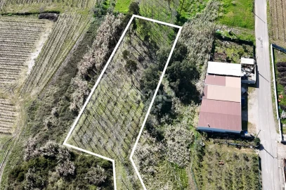 Terreno para Venda em Amoreira da Gândara, Paredes do Bairro e Ancas
