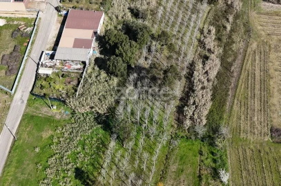 Terreno para Venda em Amoreira da Gândara, Paredes do Bairro e Ancas