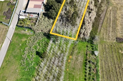 Terreno para Venda em Amoreira da Gândara, Paredes do Bairro e Ancas