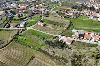 Terreno para Venda em Amoreira da Gândara, Paredes do Bairro e Ancas