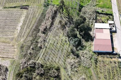 Terreno para Venda em Amoreira da Gândara, Paredes do Bairro e Ancas