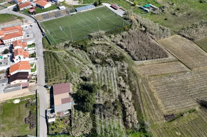 Terreno para Venda em Amoreira da Gândara, Paredes do Bairro e Ancas