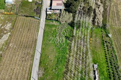 Terreno para Venda em Amoreira da Gândara, Paredes do Bairro e Ancas