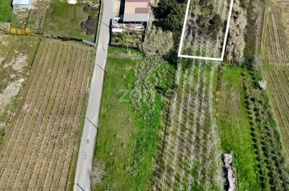 Terreno para Venda em Amoreira da Gândara, Paredes do Bairro e Ancas