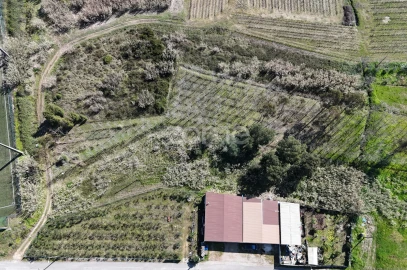 Terreno para Venda em Amoreira da Gândara, Paredes do Bairro e Ancas