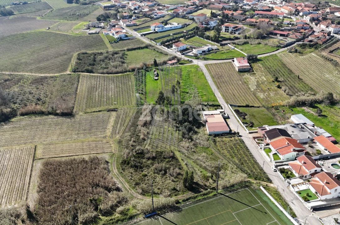 Terreno para Venda em Amoreira da Gândara, Paredes do Bairro e Ancas Foto 10