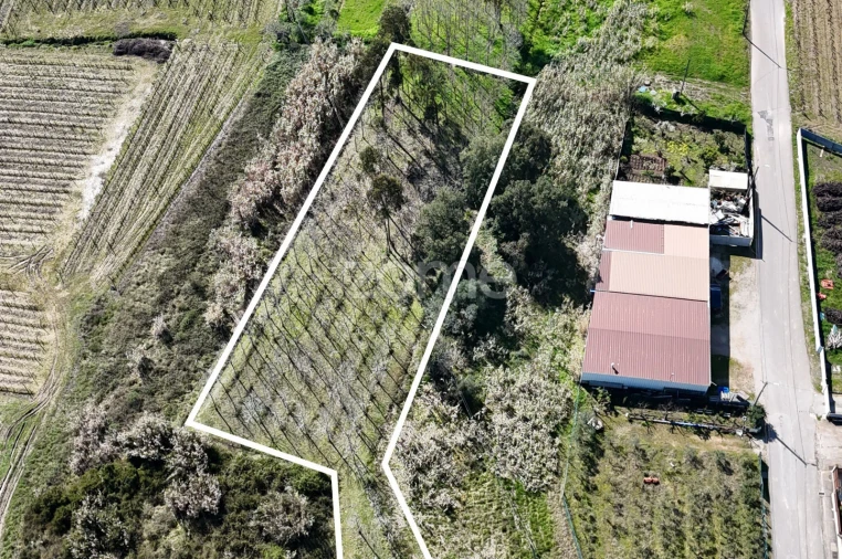 Terreno para Venda em Amoreira da Gândara, Paredes do Bairro e Ancas Foto 17
