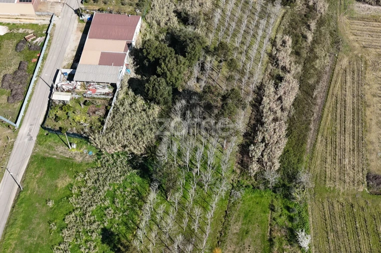 Terreno para Venda em Amoreira da Gândara, Paredes do Bairro e Ancas Foto 13