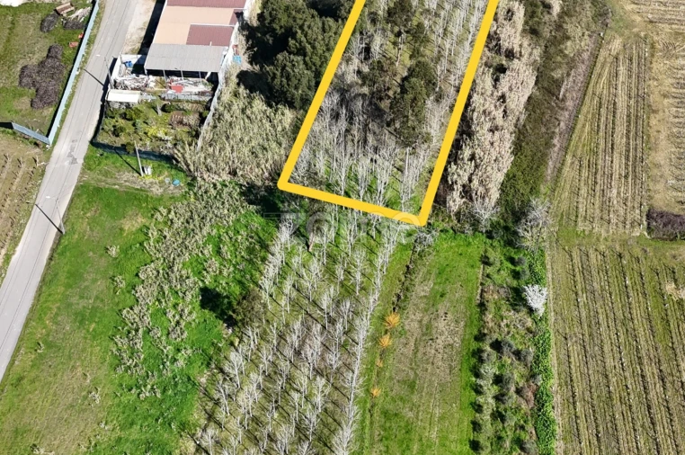 Terreno para Venda em Amoreira da Gândara, Paredes do Bairro e Ancas Foto 14