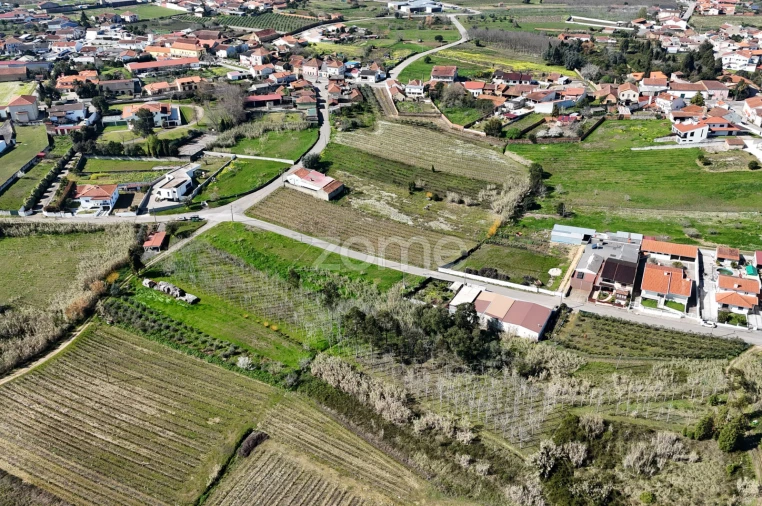 Terreno para Venda em Amoreira da Gândara, Paredes do Bairro e Ancas Foto 5
