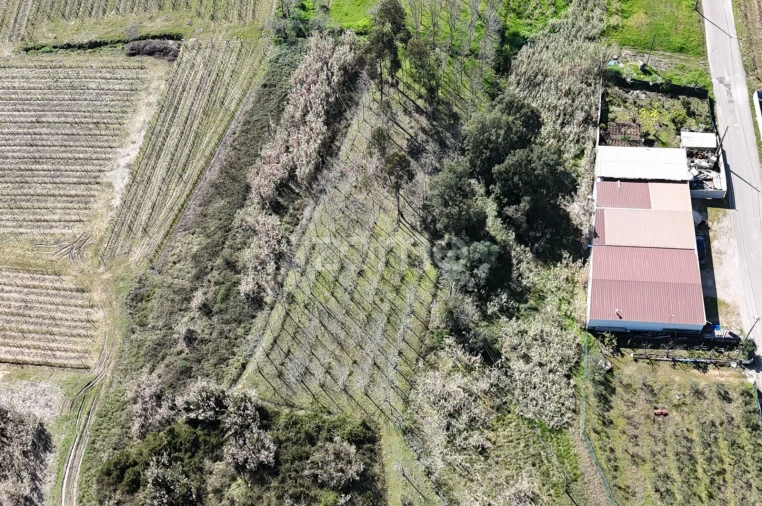 Terreno para Venda em Amoreira da Gândara, Paredes do Bairro e Ancas Foto 6