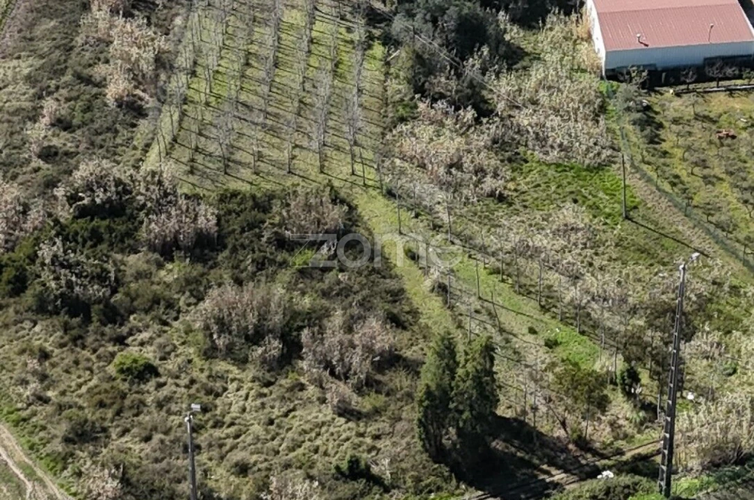 Terreno para Venda em Amoreira da Gândara, Paredes do Bairro e Ancas Foto 11