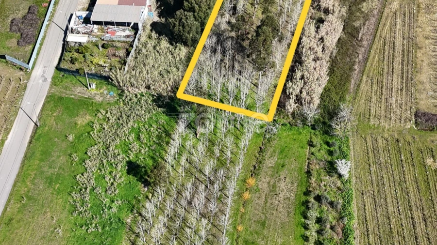Terreno para Venda em Amoreira da Gândara, Paredes do Bairro e Ancas