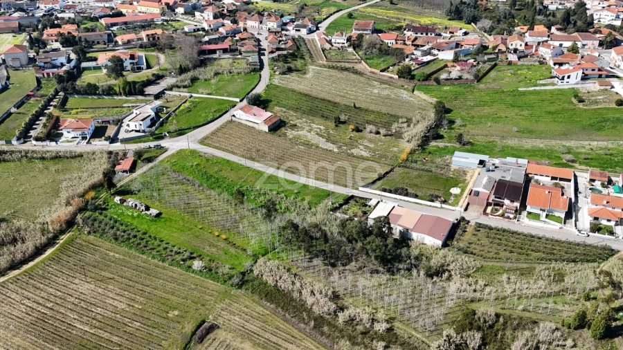 Terreno para Venda em Amoreira da Gândara, Paredes do Bairro e Ancas