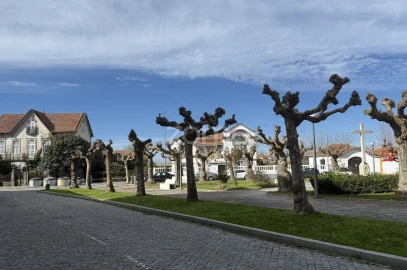 Moradia T5 para Venda em Pardilho