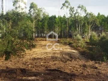 Terreno para Venda em Monte Real e Carvide