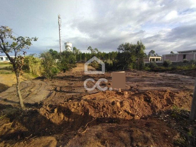 Terreno para Venda em Monte Real e Carvide Foto 2