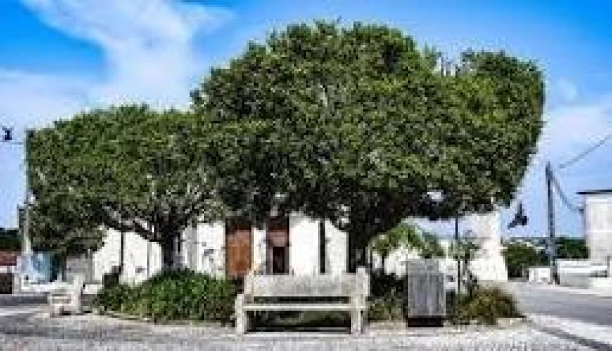 Apartamento T3 para Venda em Bidoeira de Cima Foto 2