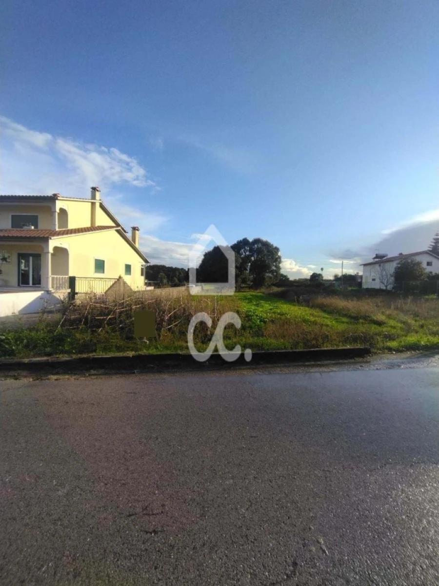 Terreno para Venda em Monte Real e Carvide Foto 2