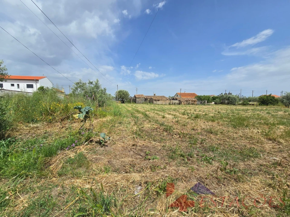 Moradia T2 para Venda em Almagreira Foto 11