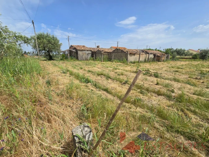 Moradia T2 para Venda em Almagreira Foto 14