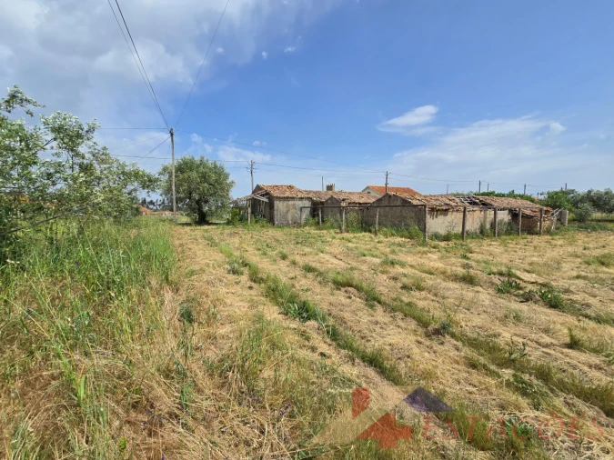 Moradia T2 para Venda em Almagreira Foto 15