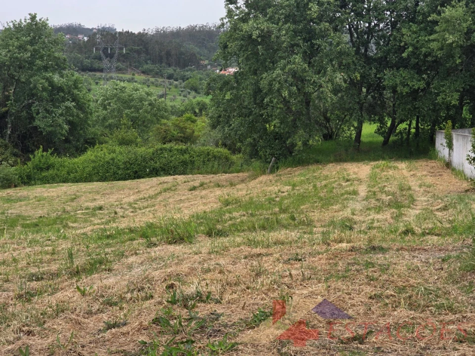 Terreno para Venda em Santiago e São Simão de Litém e Albergaria dos Doze Foto 6