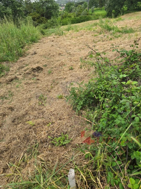 Terreno para Venda em Santiago e São Simão de Litém e Albergaria dos Doze