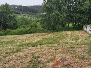 Terreno para Venda em Santiago e São Simão de Litém e Albergaria dos Doze