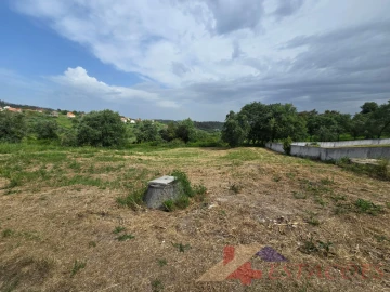 Terreno para Venda em Santiago e São Simão de Litém e Albergaria dos Doze
