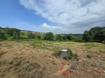 Terreno para Venda em Santiago e São Simão de Litém e Albergaria dos Doze