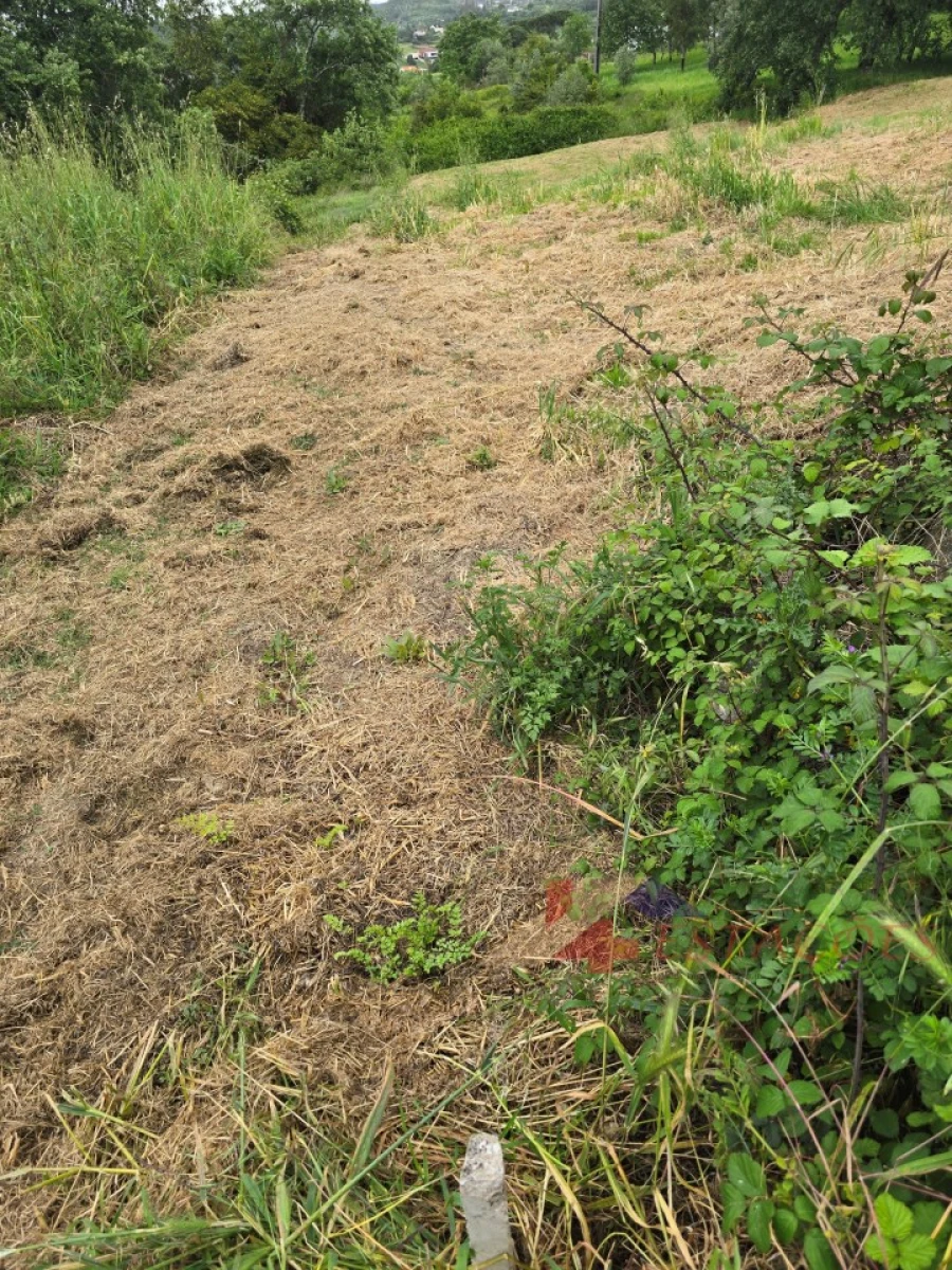 Terreno para Venda em Santiago e São Simão de Litém e Albergaria dos Doze Foto 3