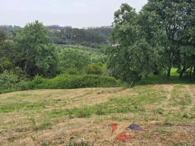 Terreno para Venda em Santiago e São Simão de Litém e Albergaria dos Doze Foto 5