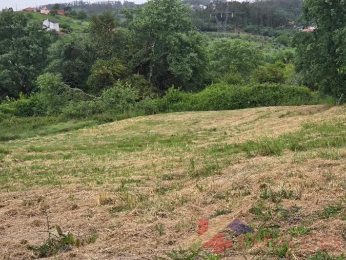 Terreno para Venda em Santiago e São Simão de Litém e Albergaria dos Doze Foto 7