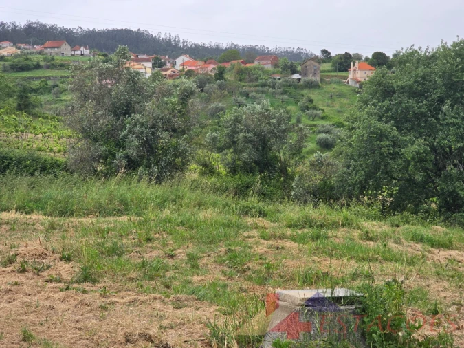 Terreno para Venda em Santiago e São Simão de Litém e Albergaria dos Doze Foto 8