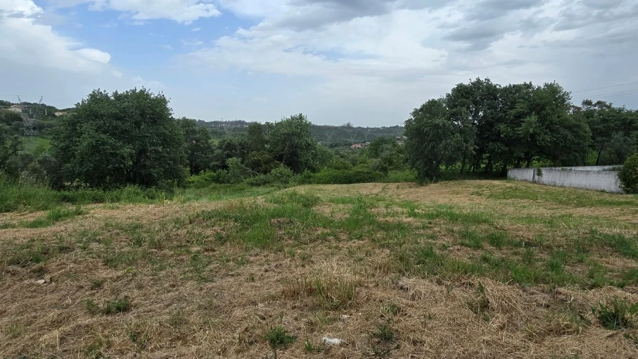 Terreno para Venda em Santiago e São Simão de Litém e Albergaria dos Doze