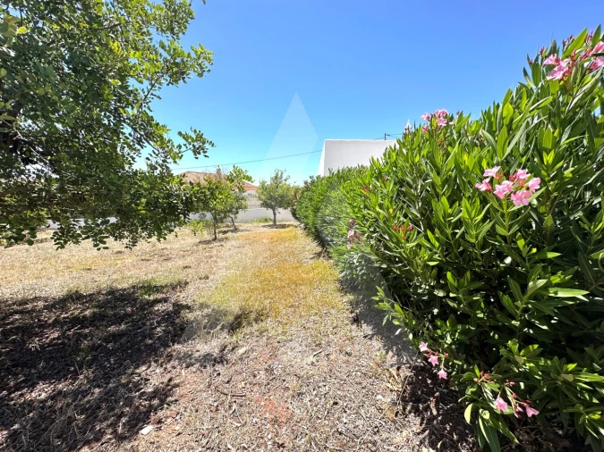 Moradia T4 para Venda em São Brás de Alportel Foto 74