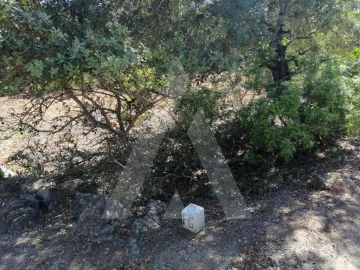 Terreno para Venda em Querença, Tôr e Benafim