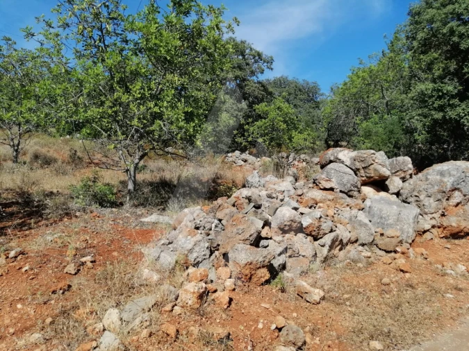 Terreno para Venda em Querença, Tôr e Benafim Foto 13