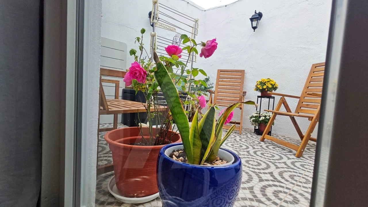 Moradia T2 para Venda em São Pedro da Cadeira Foto 18