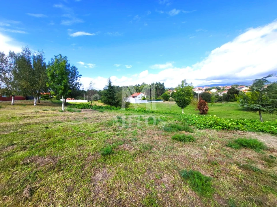 Terreno para Venda em Alvarães Foto 1