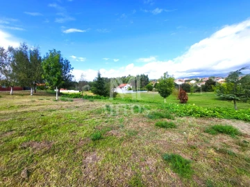 Terreno para Venda em Alvarães