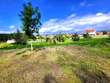 Terreno para Venda em Alvarães