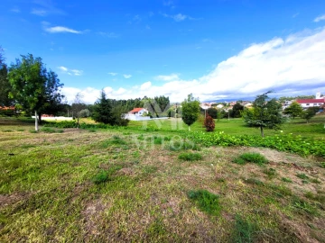 Terreno para Venda em Alvarães