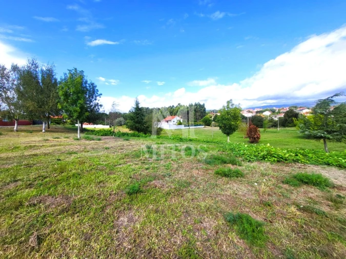 Terreno para Venda em Alvarães Foto 2